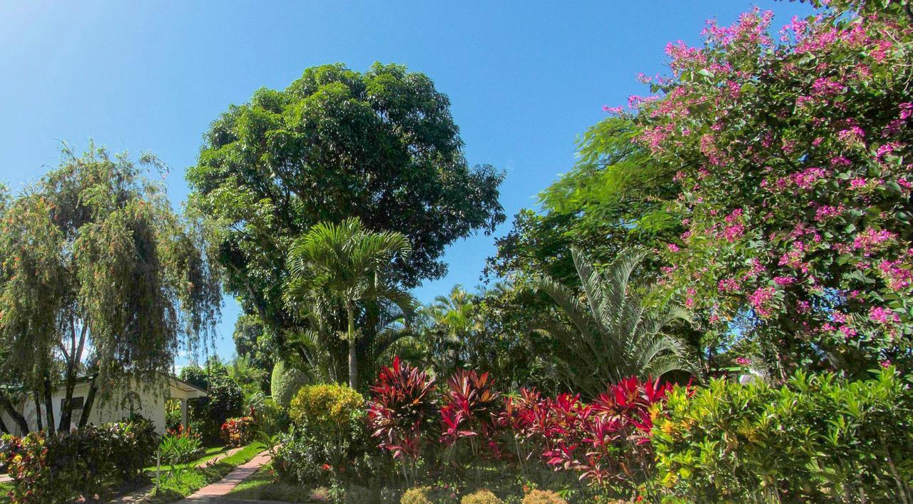 Hotel La Rosa De America Alajuela Exterior photo