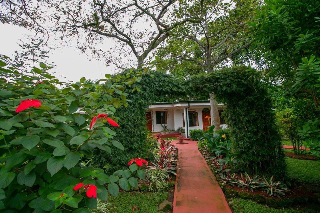 Hotel La Rosa De America Alajuela Exterior photo